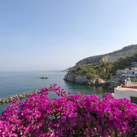 Estate4home - Bouganville